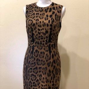 Class Roberto Cavalli dress